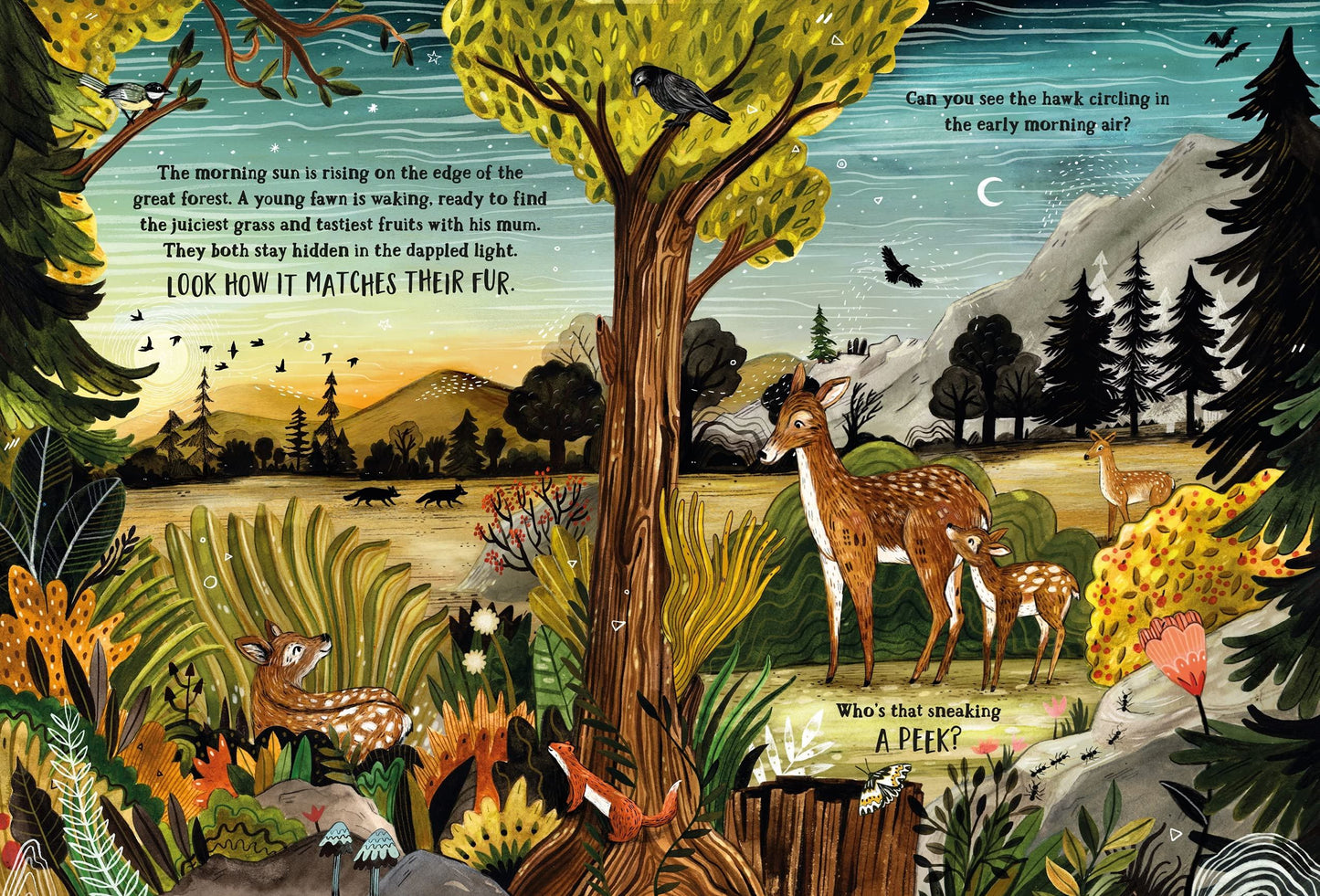 Secret Forest: A Spotting Book