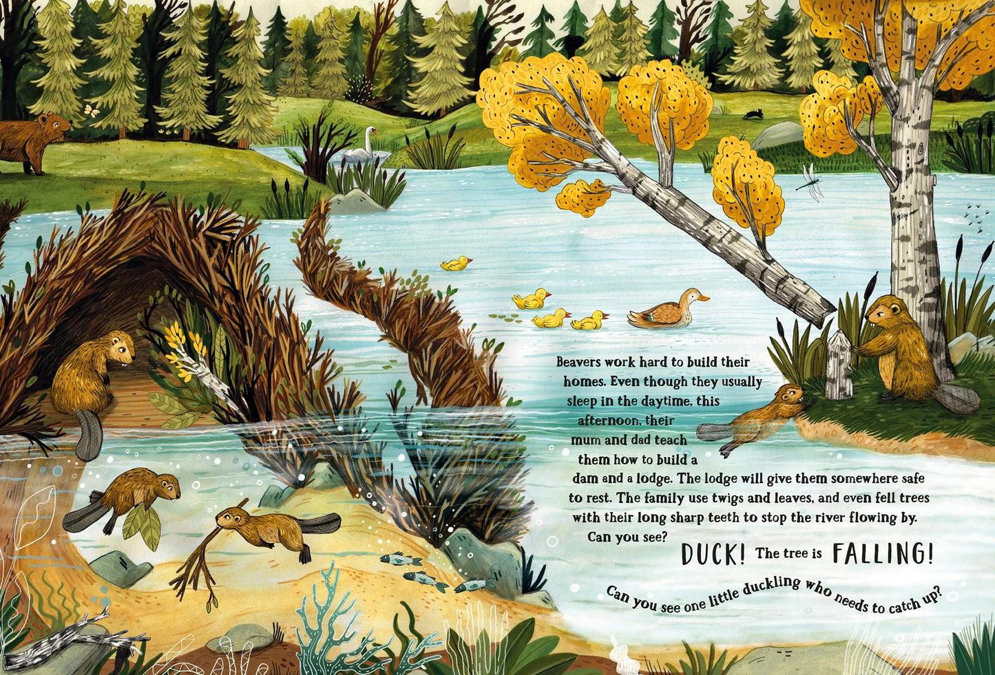 Secret Forest: A Spotting Book