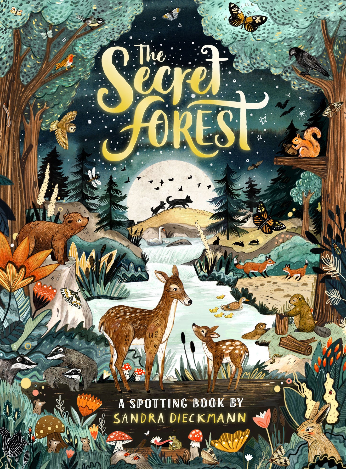 Secret Forest: A Spotting Book