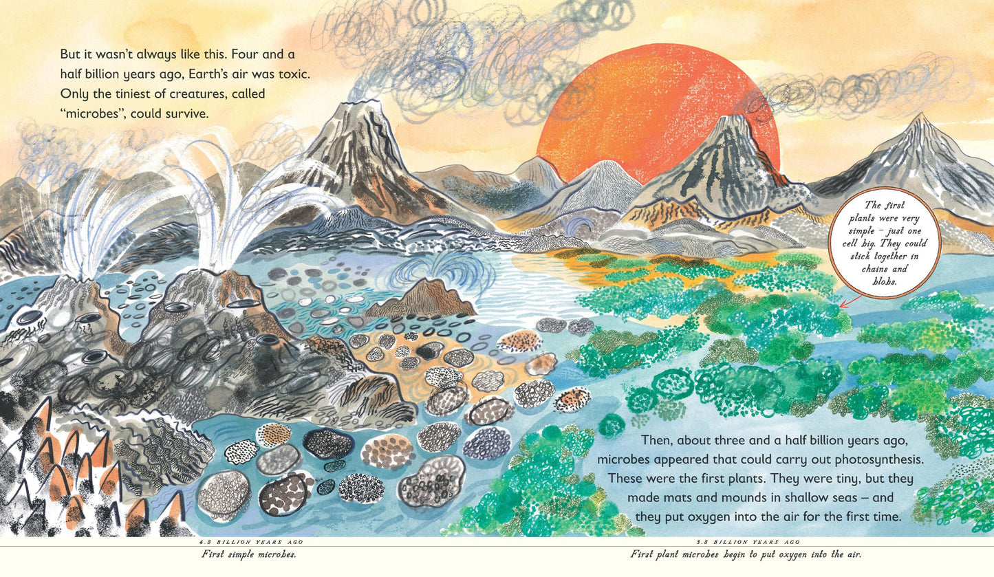 Green: The Story of Plant Life On Our Planet