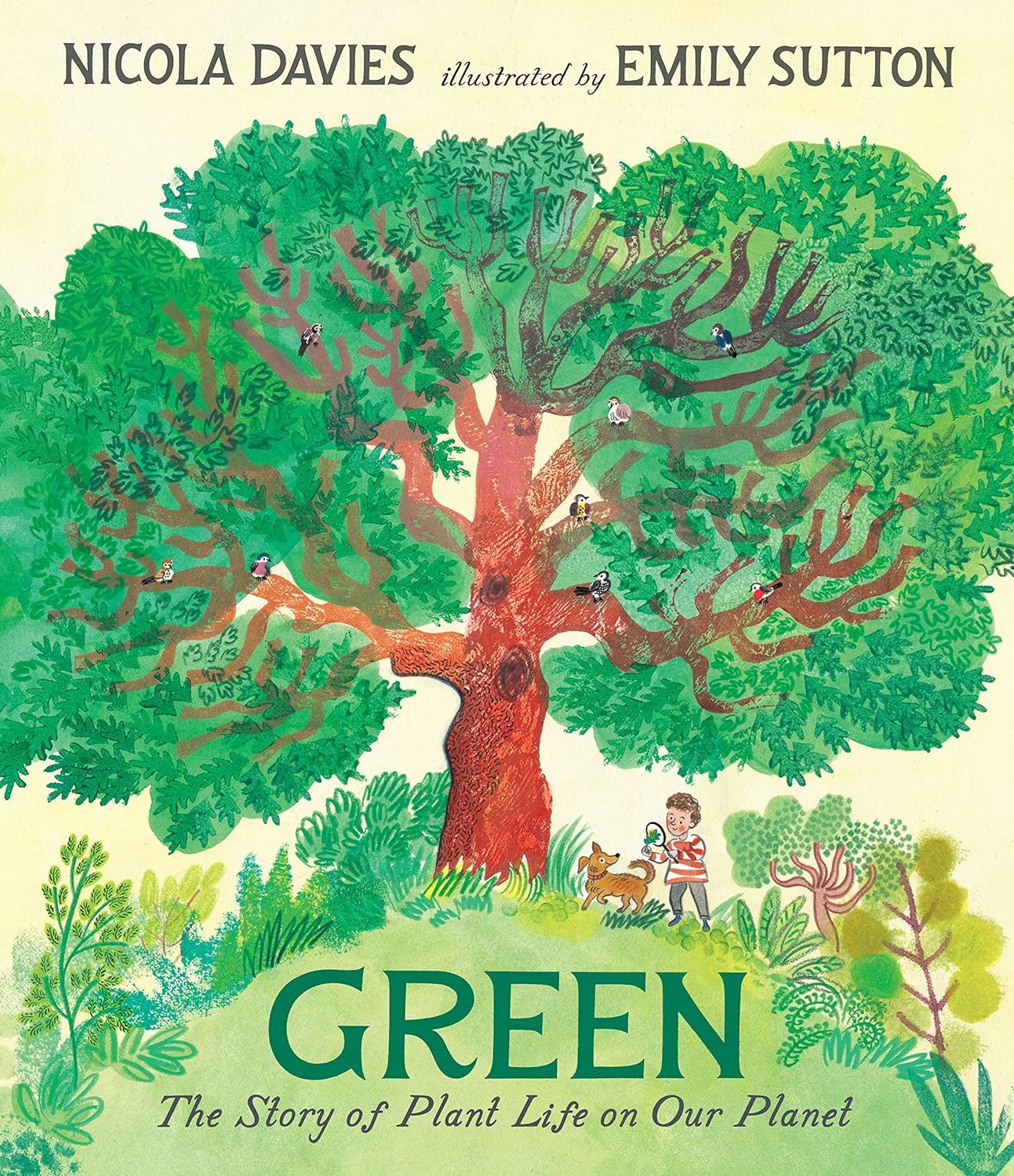 Green: The Story of Plant Life On Our Planet
