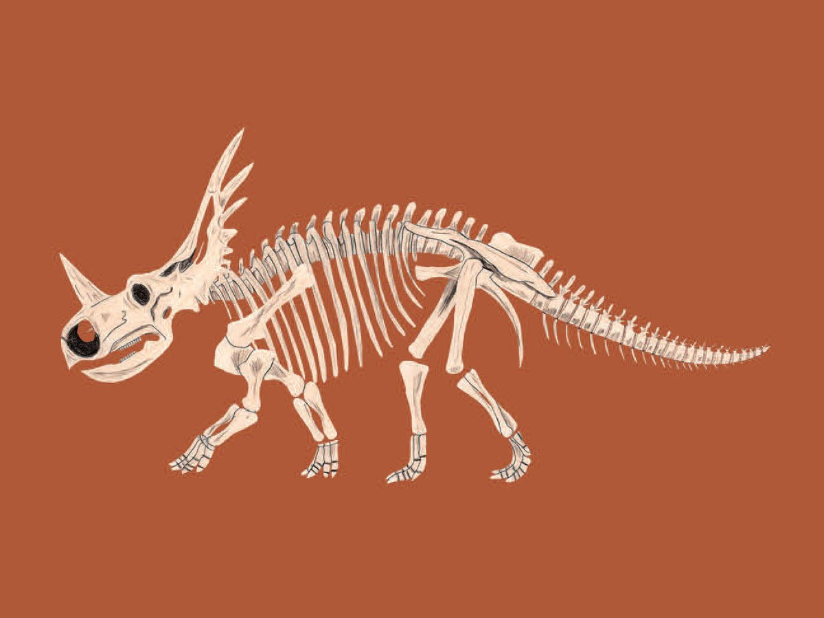 Match These Bones: A Dinosaur Memory Game
