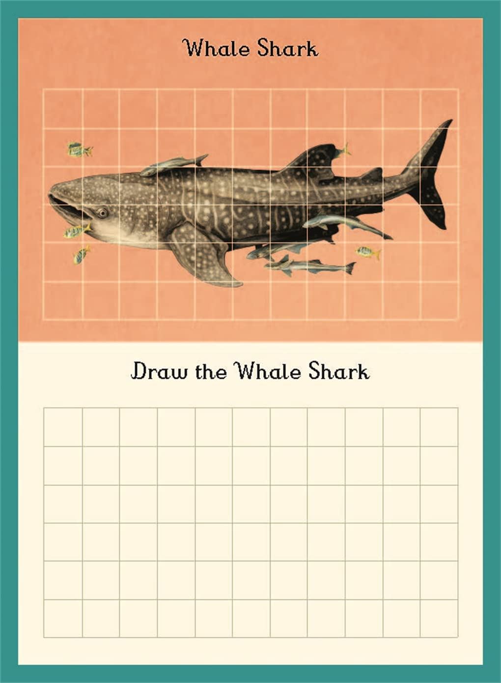 Oceanarium Activity Book