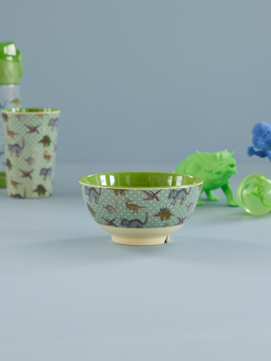 Medium Melamine Bowl - New Dino