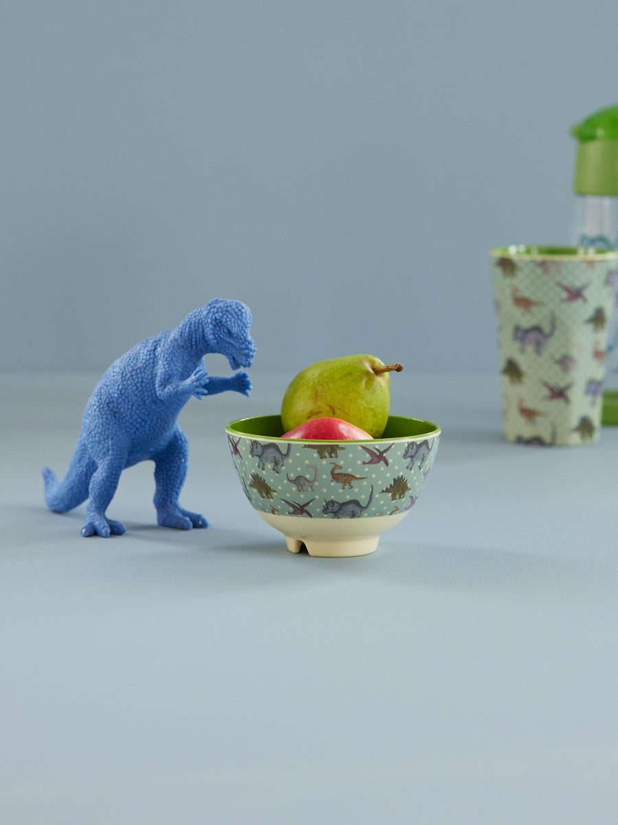 Small Melamine Bowl - New Dino Print
