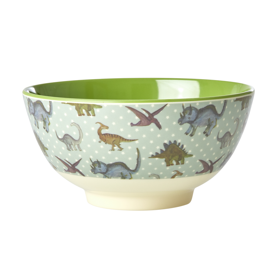 Medium Melamine Bowl - New Dino