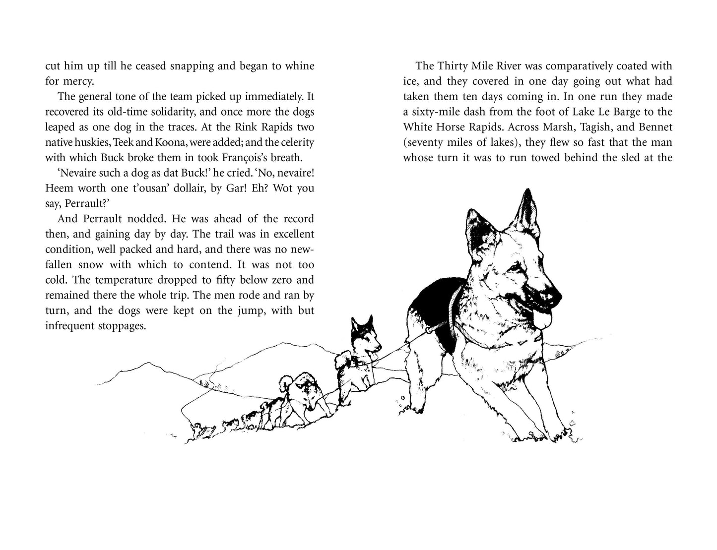 Call of The Wild - Puffin Clothbound Classic