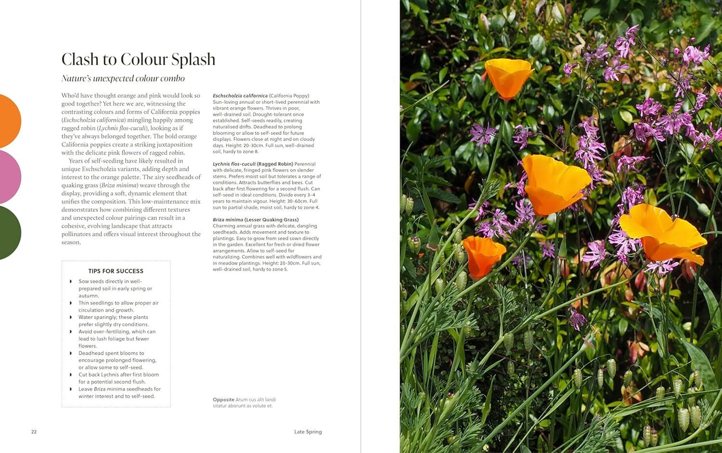 Year of Colour: How To Create A Bold And Bright Garden