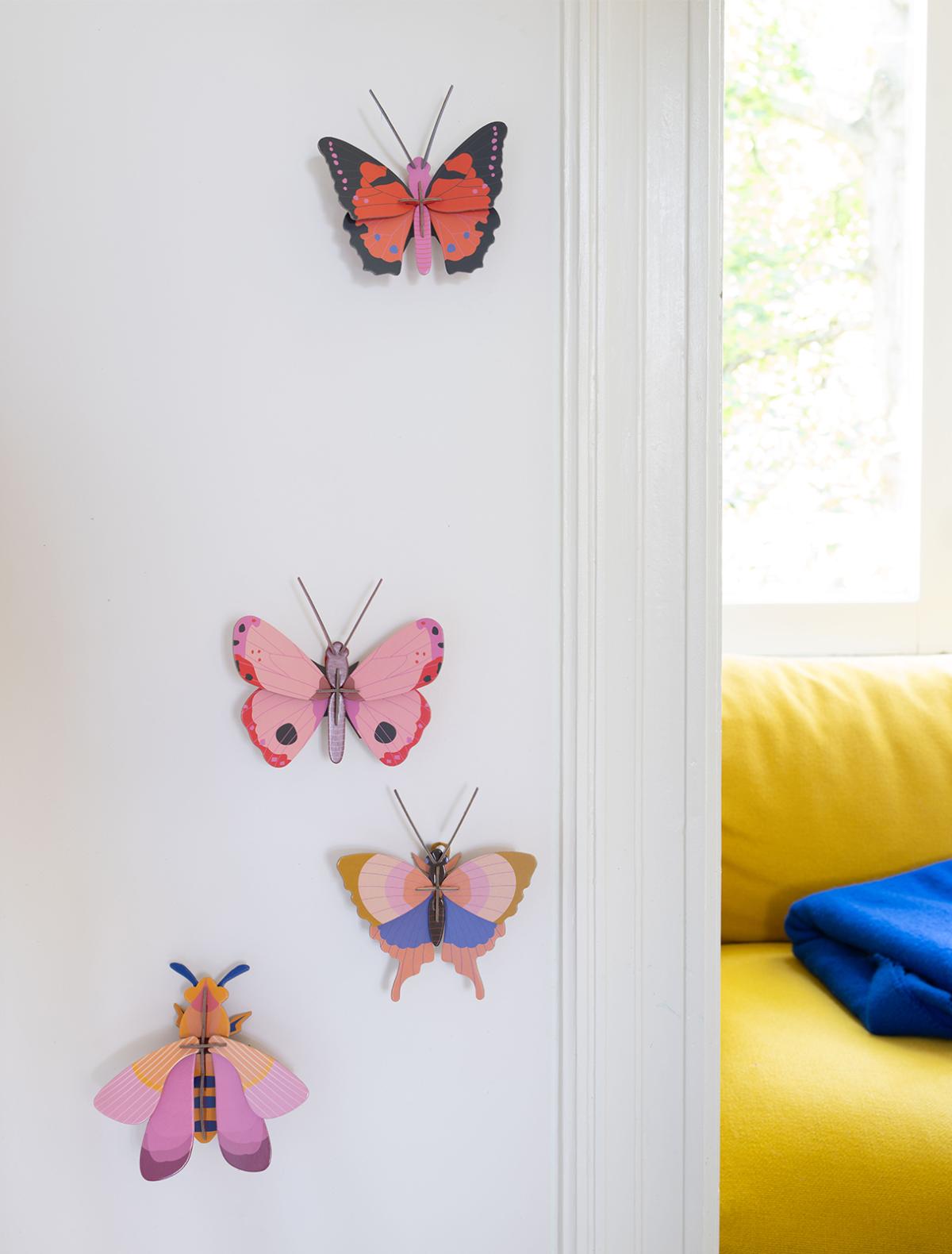 Rosora Butterfly