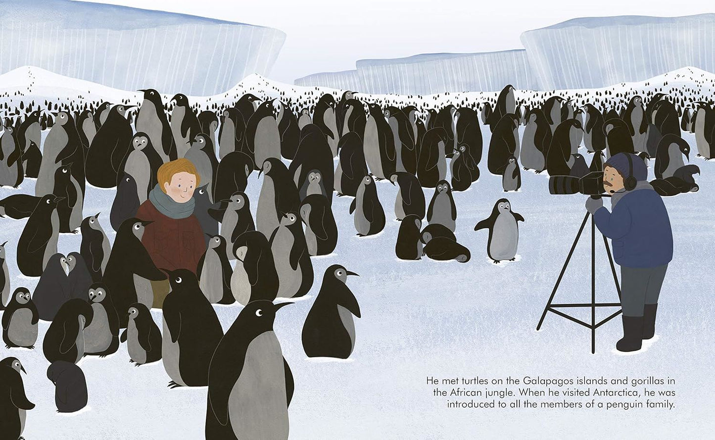 Little People Big Dreams Advent Calendar