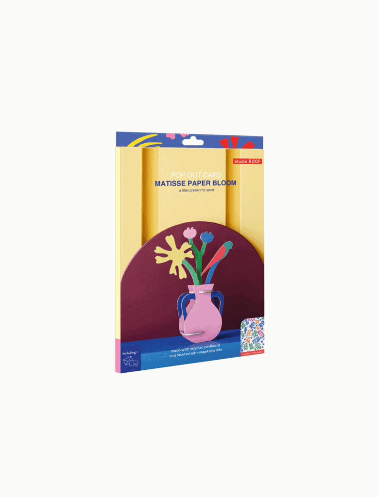 Pop Out - Matisse Paper Bouquet