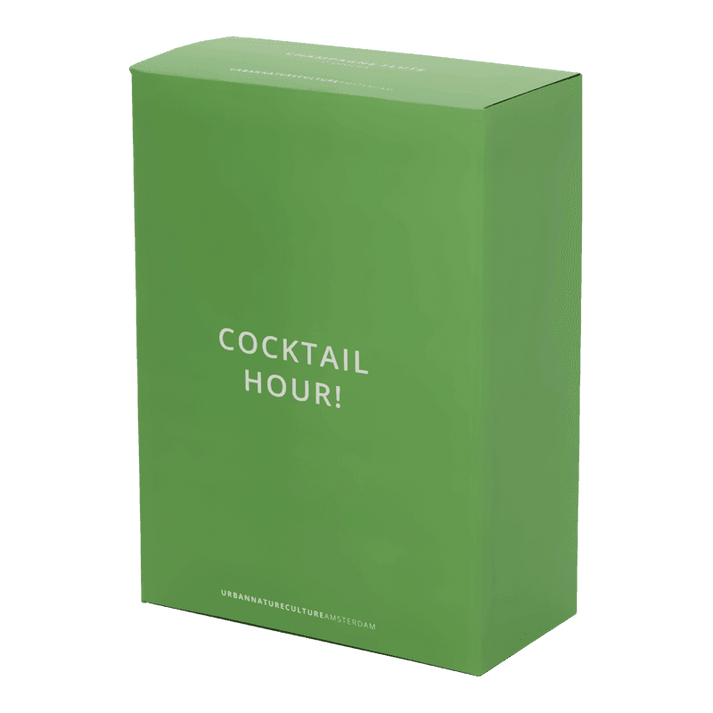 Champagne Flute Glasses Gift Set - Set of 2