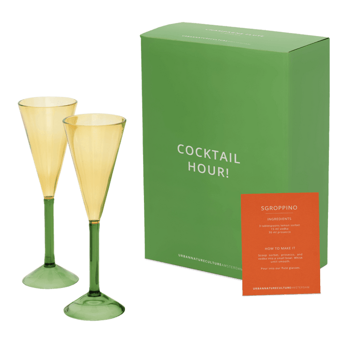 Champagne Flute Glasses Gift Set - Set of 2