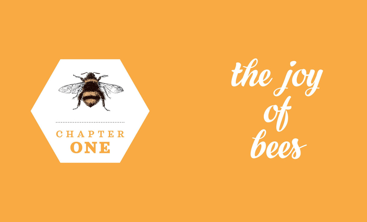Little Book of Bees