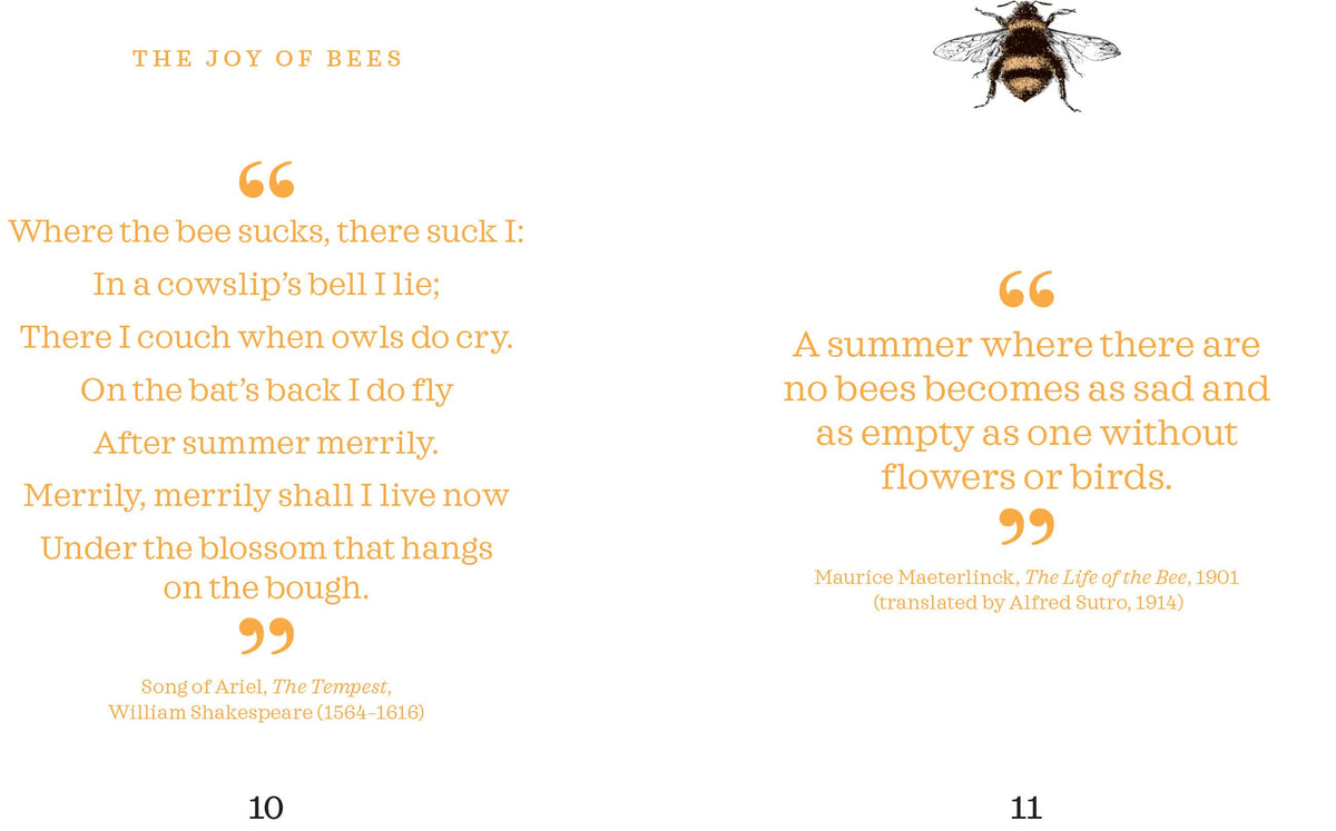 Little Book of Bees