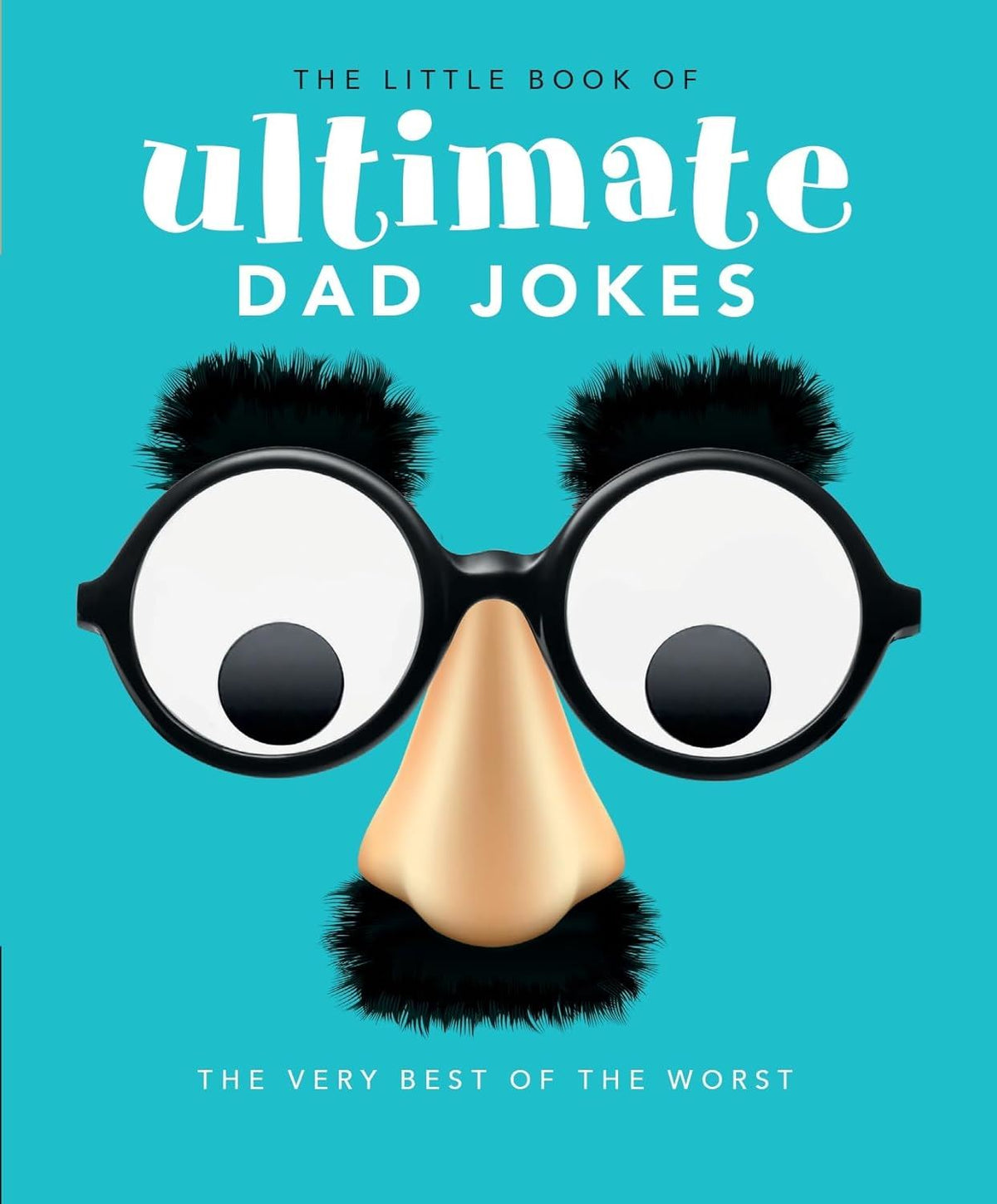 Little Book of Ultimate Dad Jokes