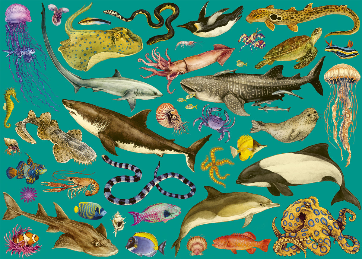 Oceanarium 500 Piece Jigsaw Puzzle