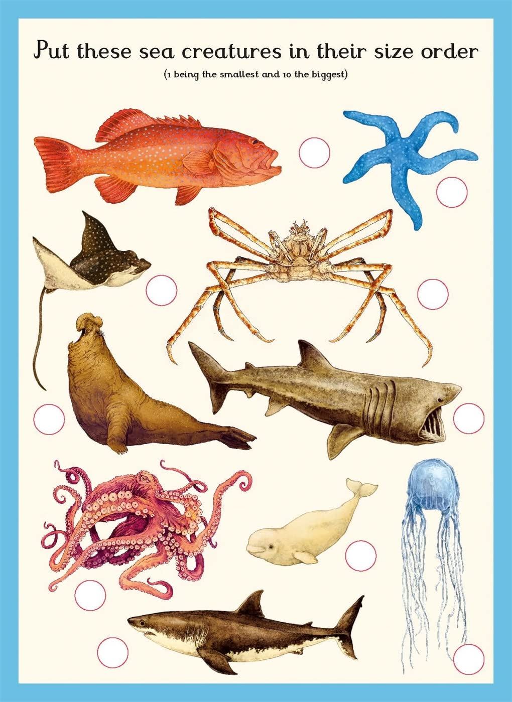 Oceanarium Activity Book
