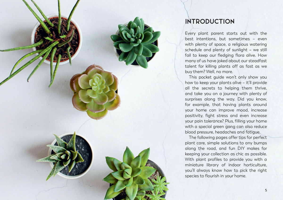 The Little Book For Plant Parents