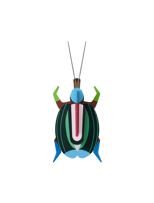Green Fig Beetle