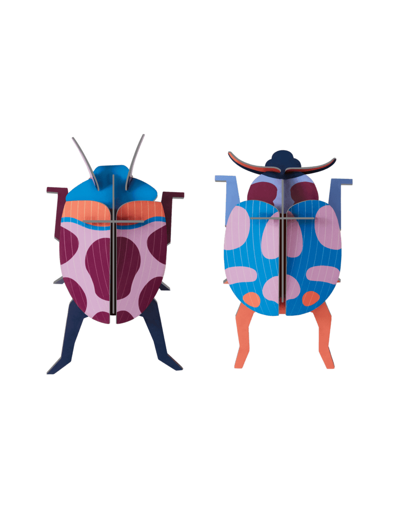Coccinelle Couple
