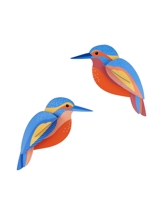 Kingfishers