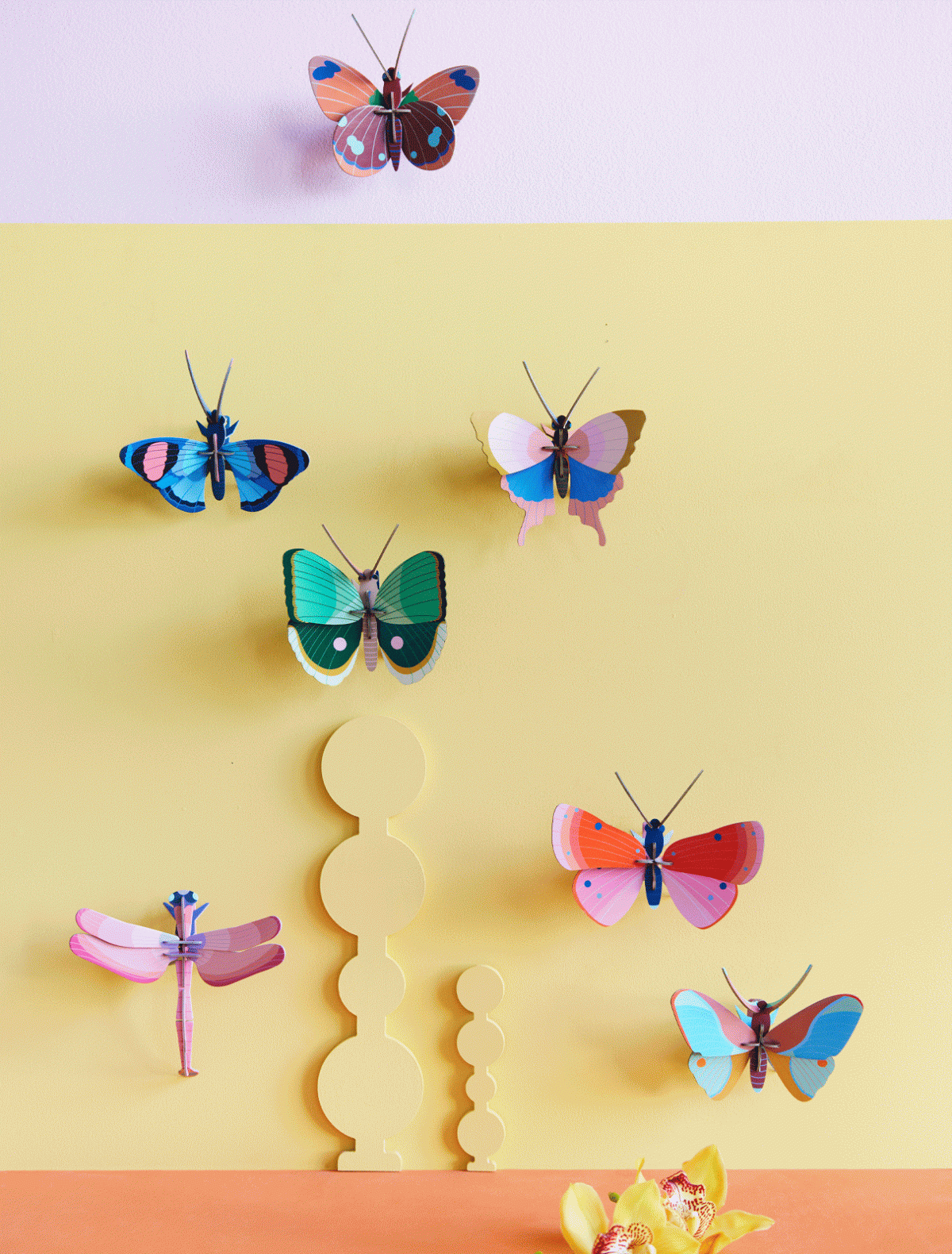 Peacock Butterfly