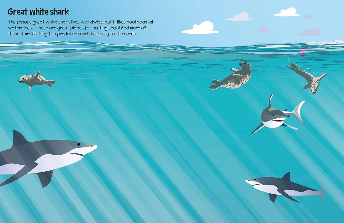 555 Sticker Fun: Sharks