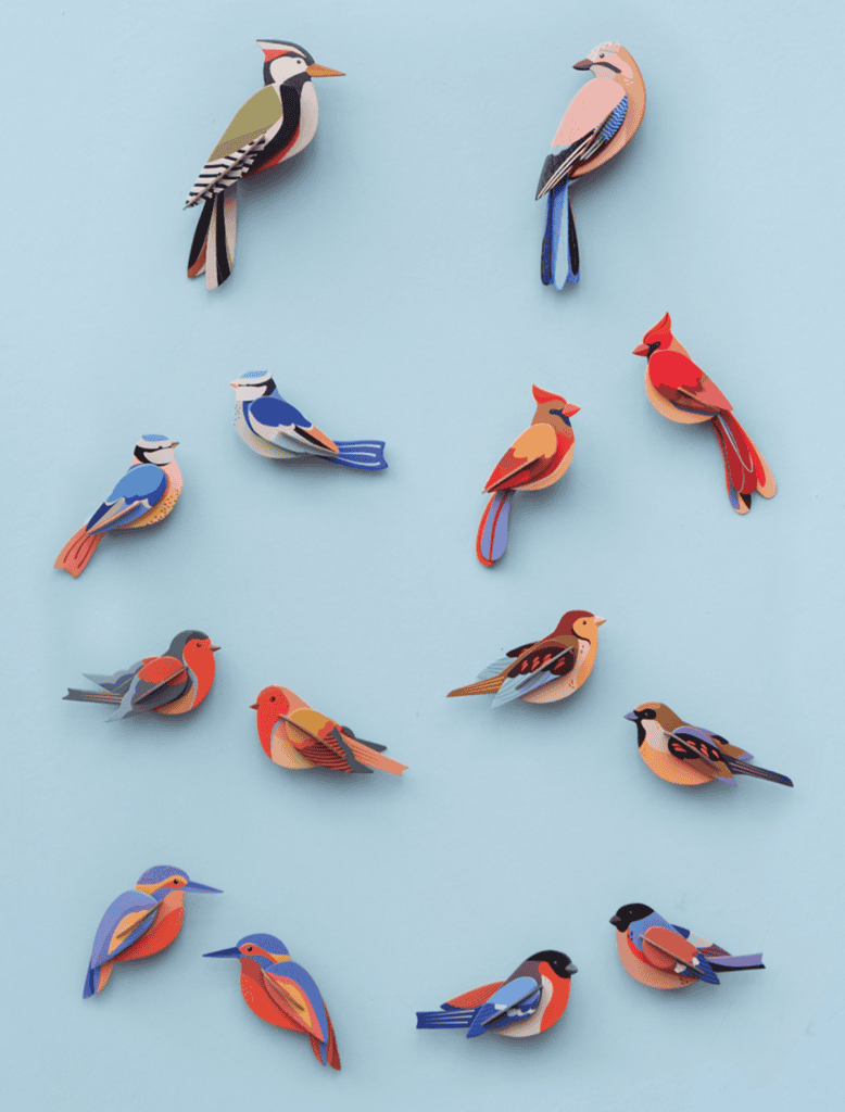 Kingfishers