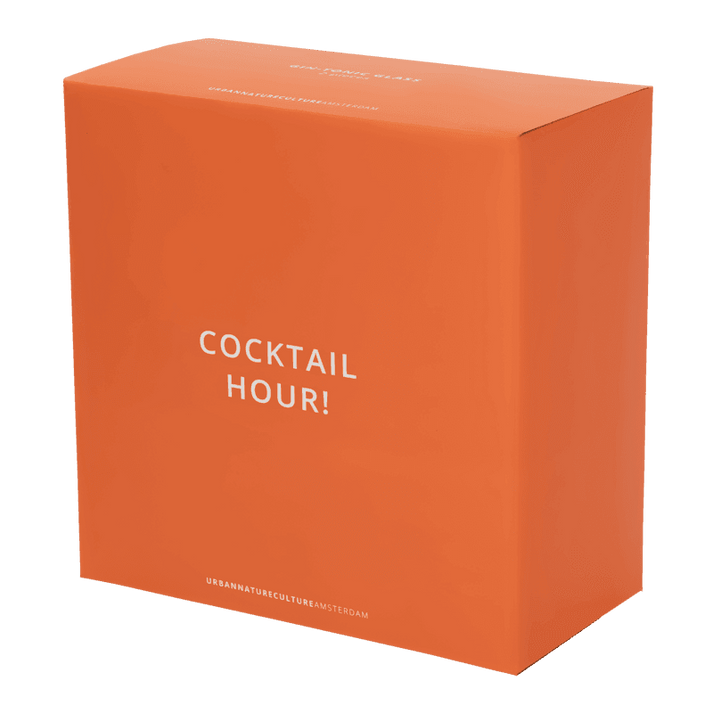 Gin & Tonic Cocktail Glasses - Set of 2