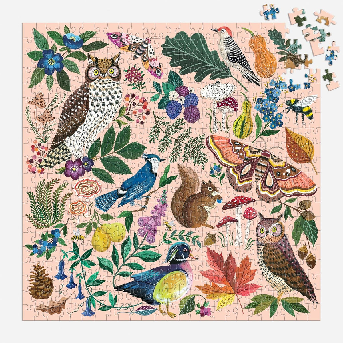 Nature in Autumn- 500 Piece Puzzle