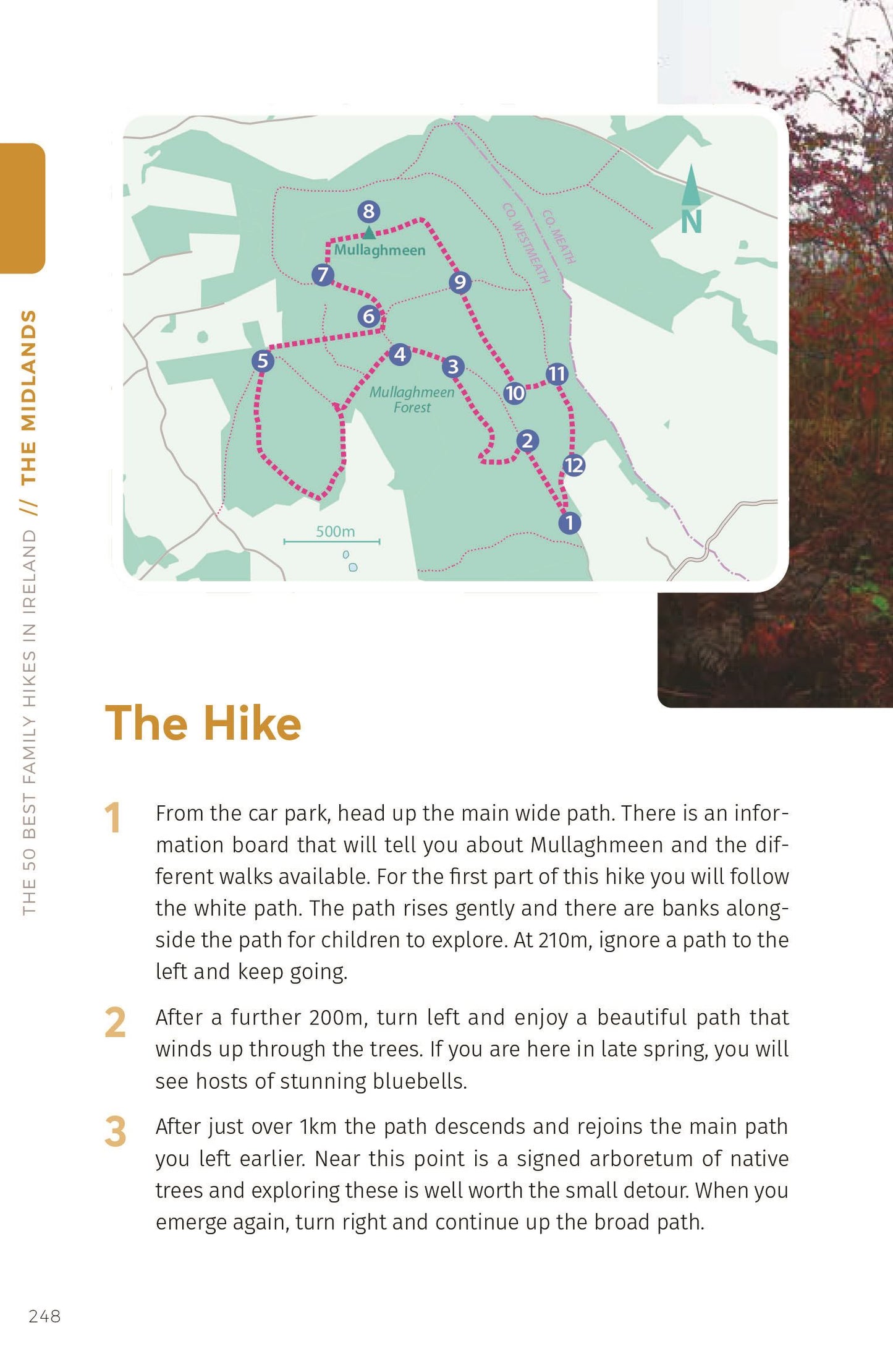 The 50 Best Family Hikes in Ireland