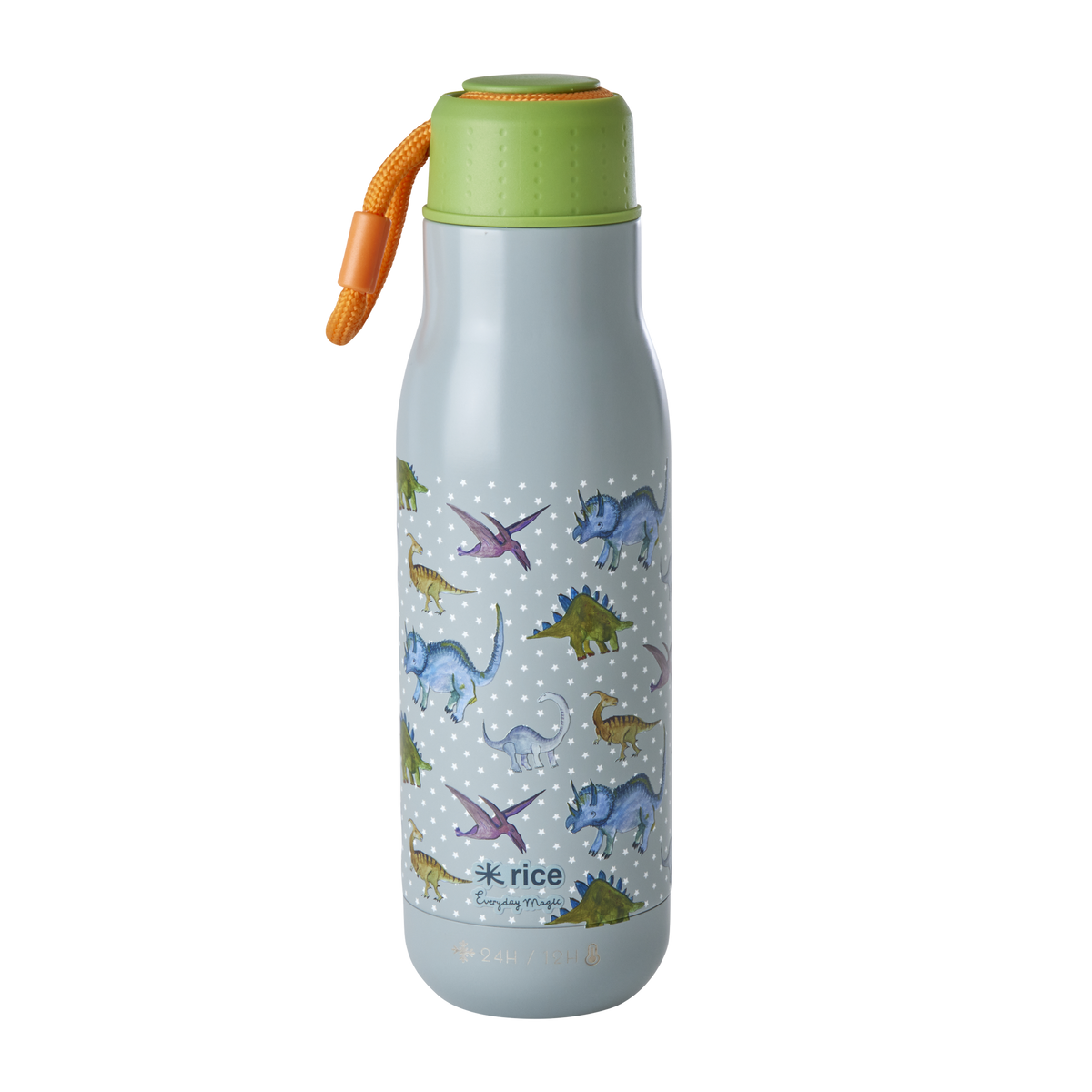 Dino Stainless Steel Water Bottle