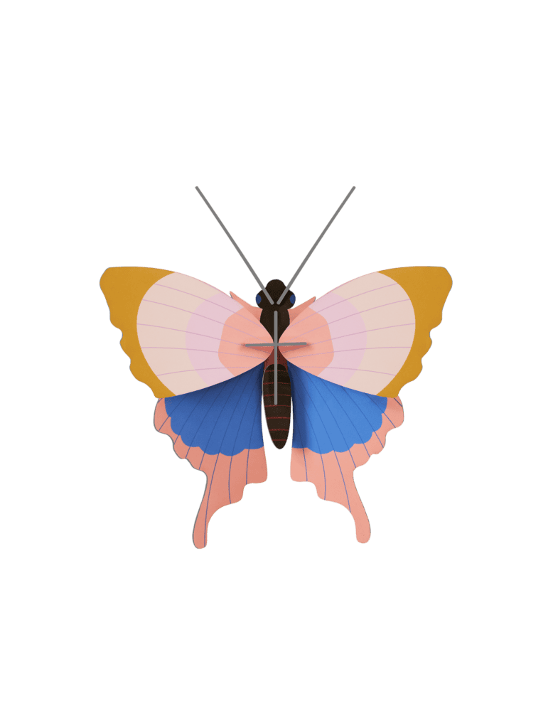 Gold Rim Butterfly