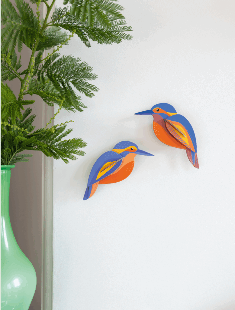 Kingfishers