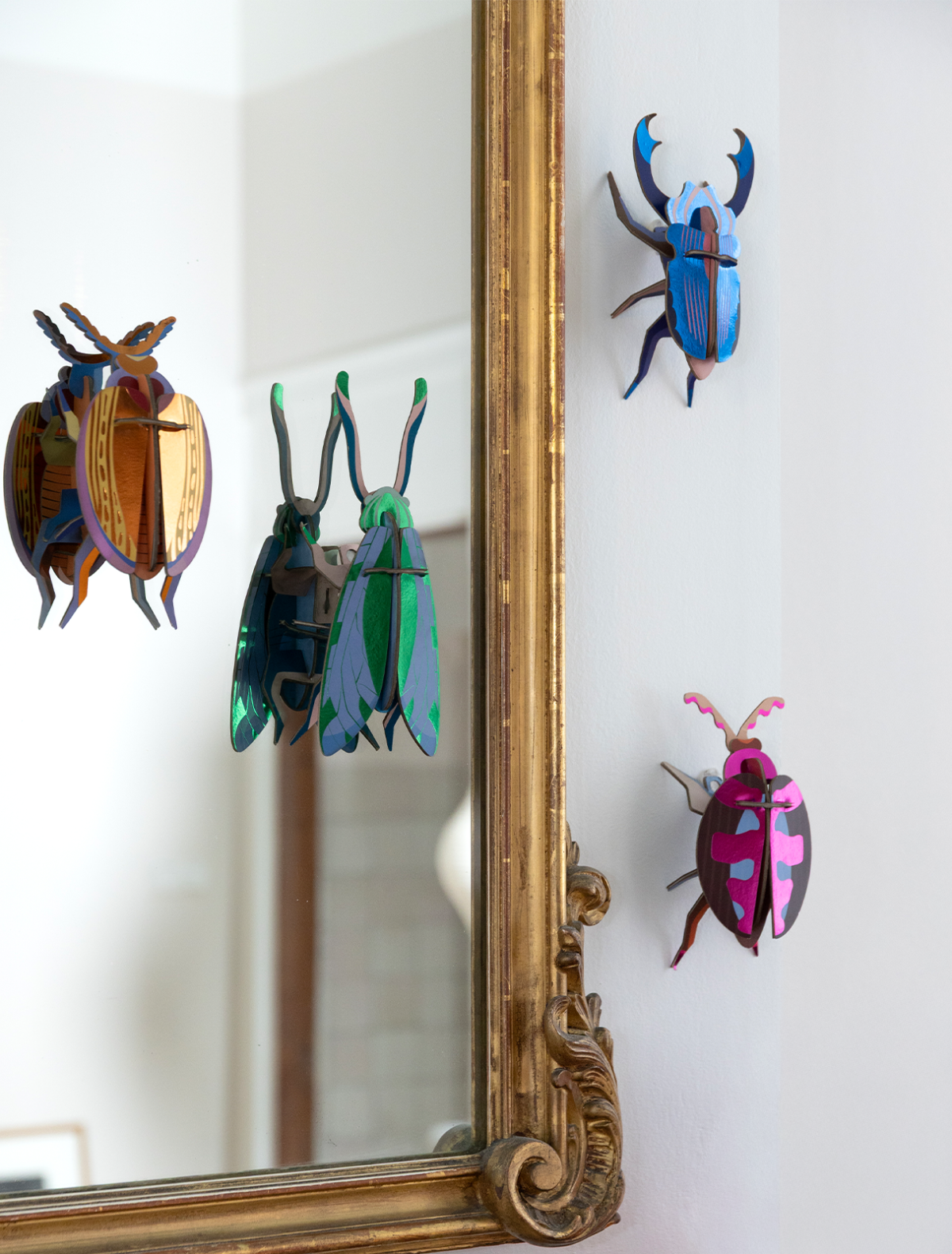 Lumen Pink Beetle