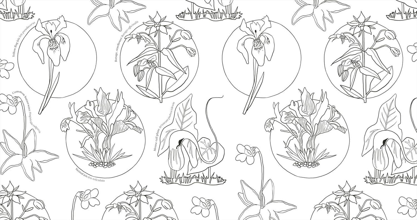 Wonderful Wildflowers Colouring Book