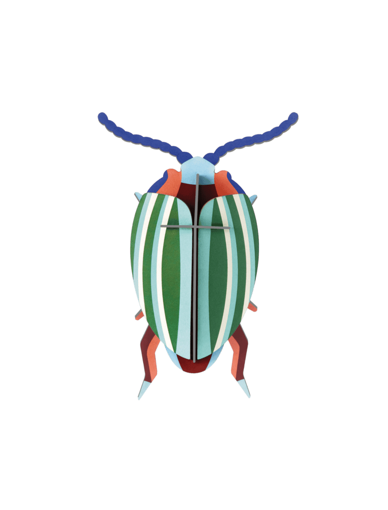 Rainbow Leaf Beetle