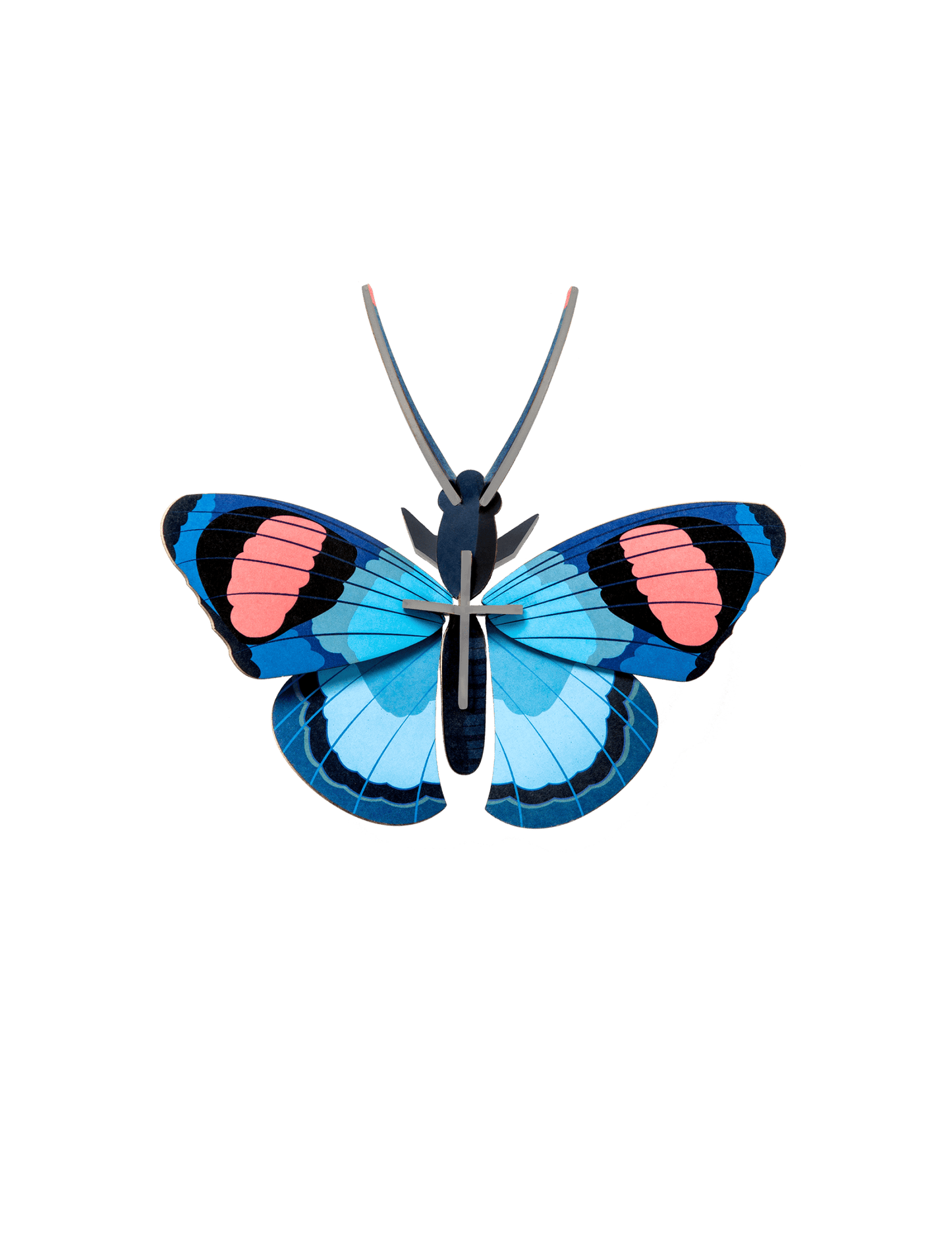Peacock Butterfly