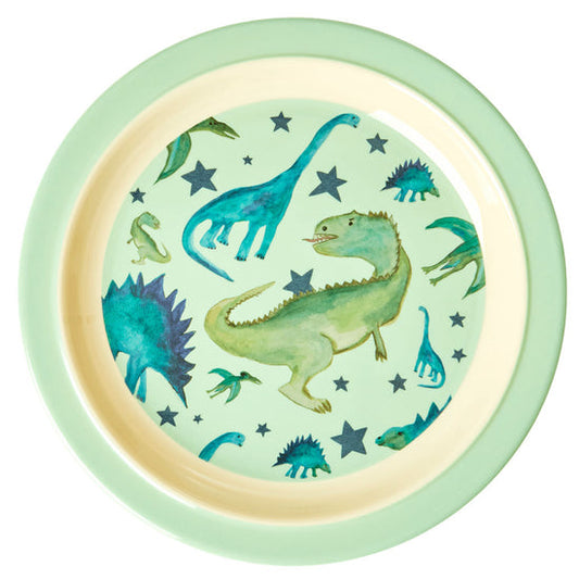 Dino Melamine Plate