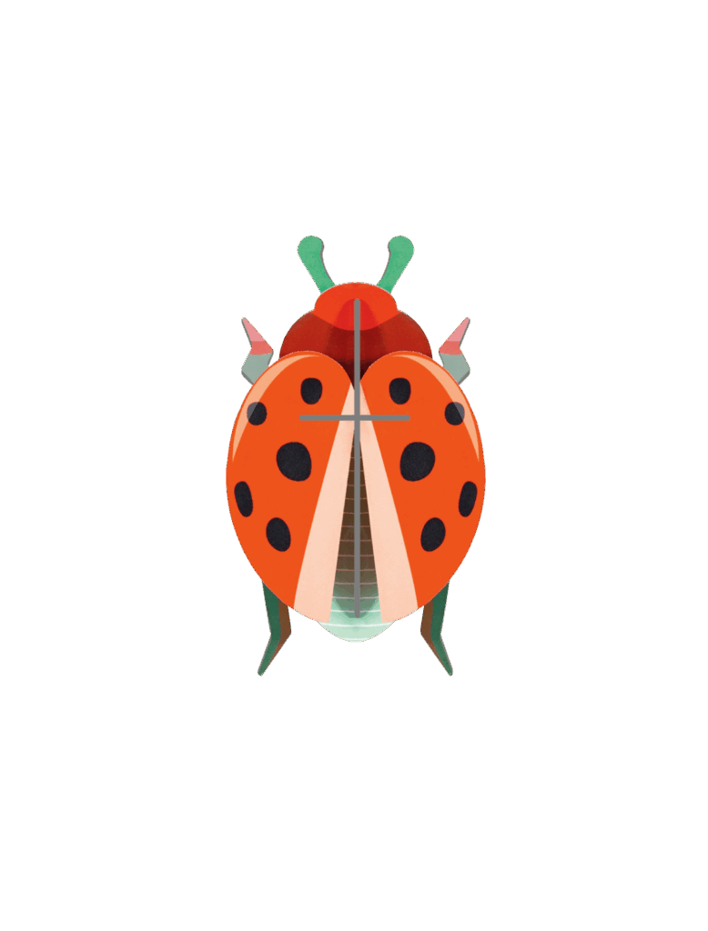 Coccinelle Rouge