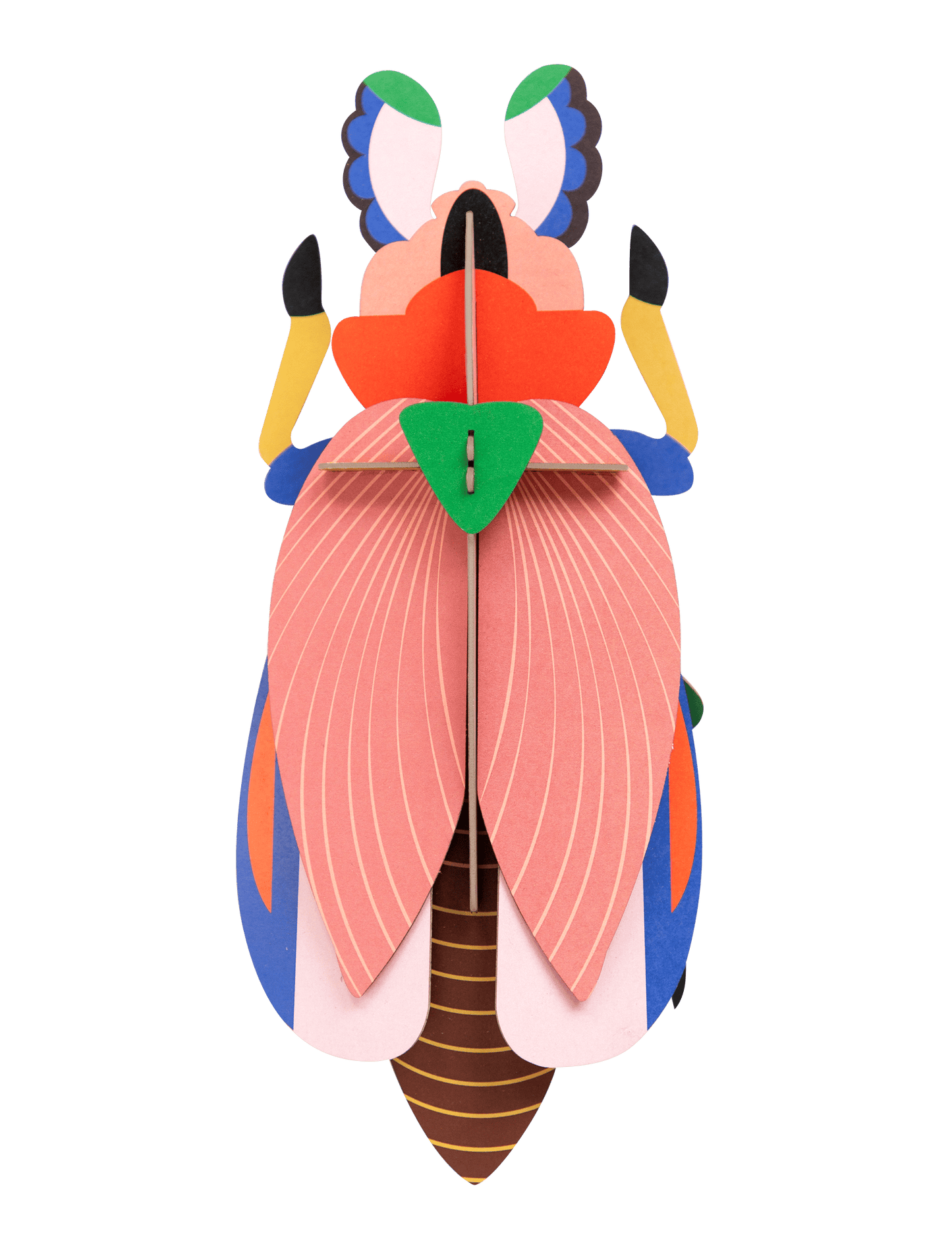 Giant Lady Beetle