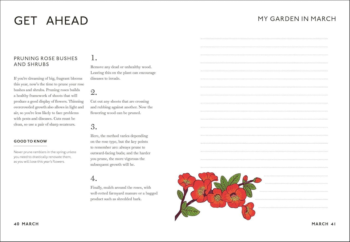 Your Gardening Year : What To Do When