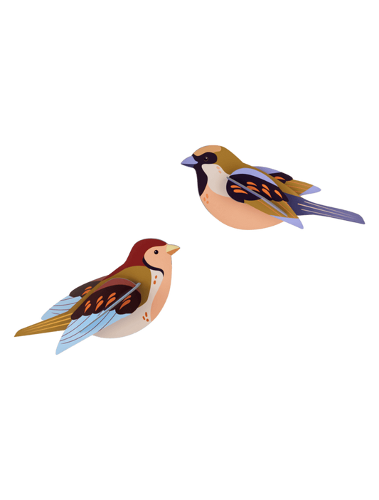 Sparrows