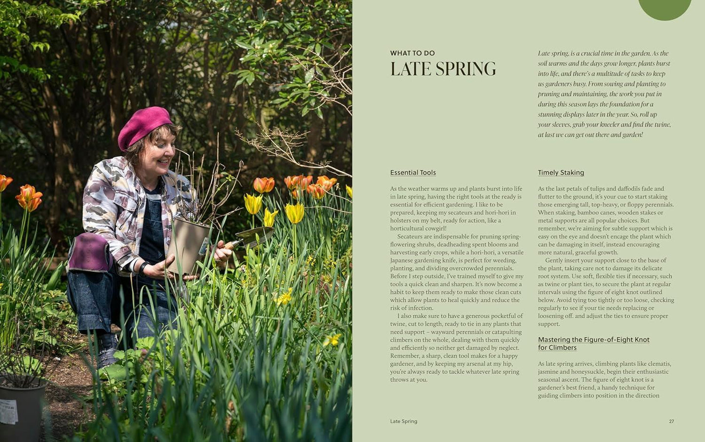 Year of Colour: How To Create A Bold And Bright Garden