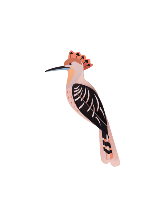 Hoopoe