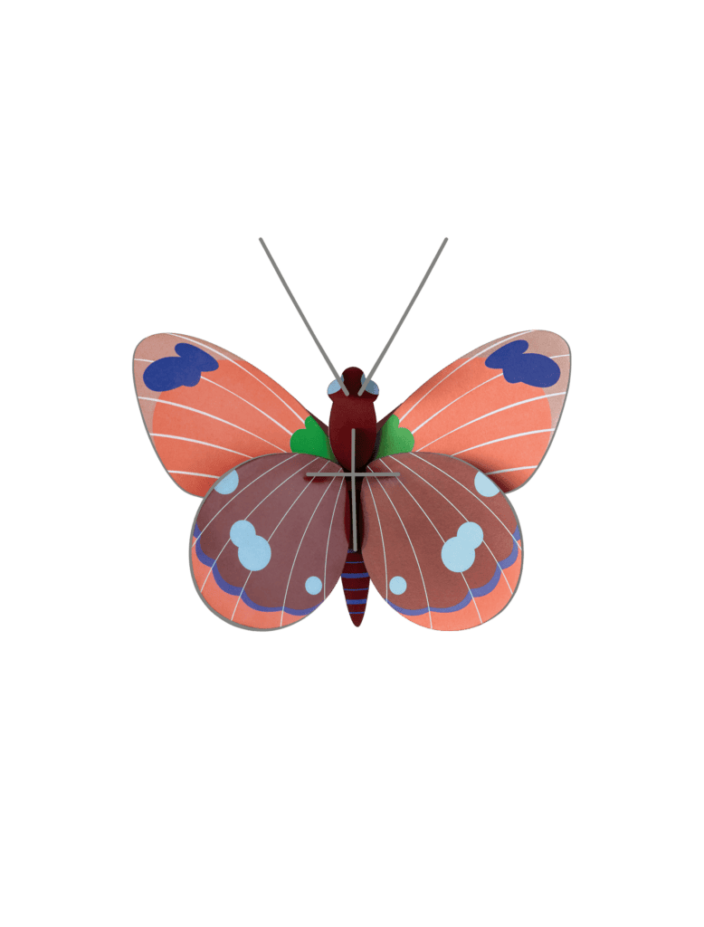 Delias Butterfly