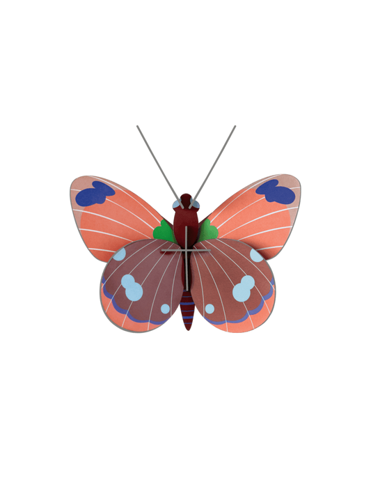Delias Butterfly