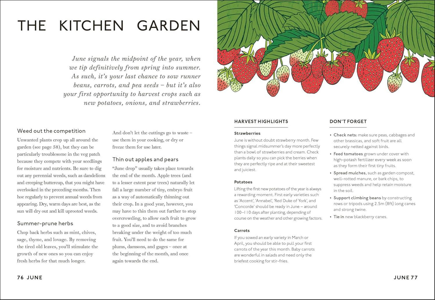 Your Gardening Year : What To Do When