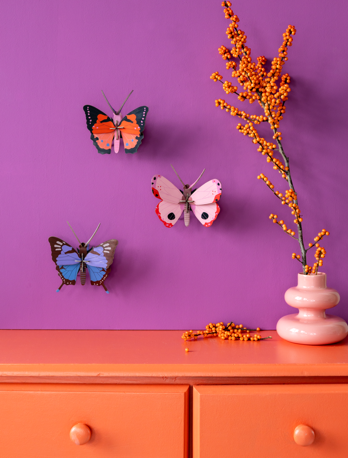 Rosora Butterfly